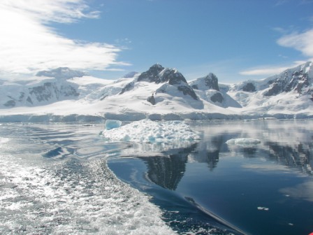 Bahía Paraíso Antártida 