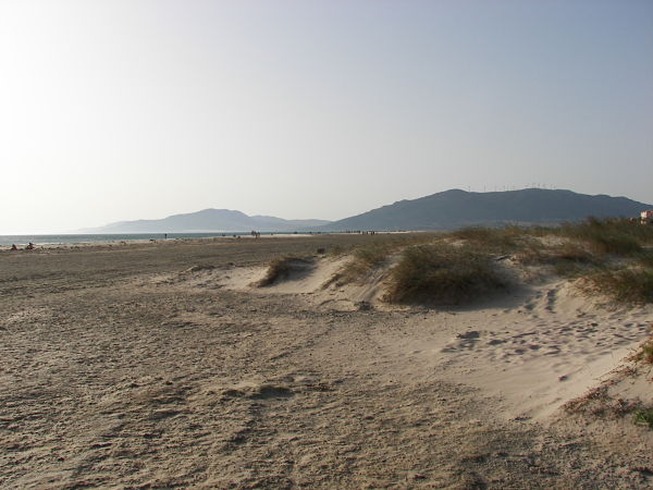 Tarifa