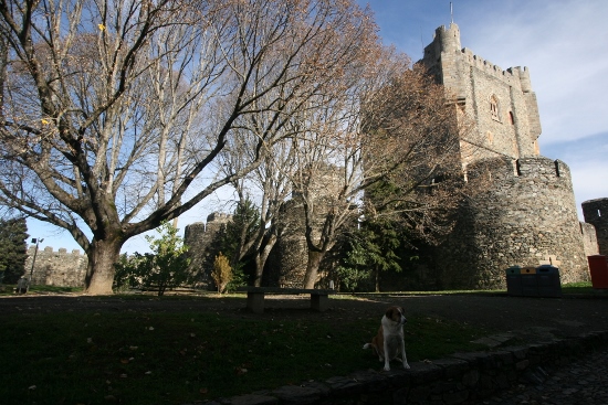 Bragança Portugal