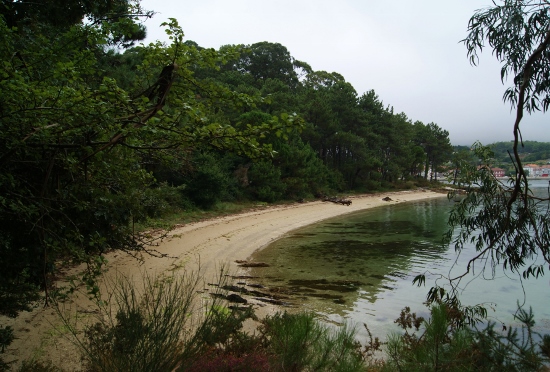 Isla de Cortegada