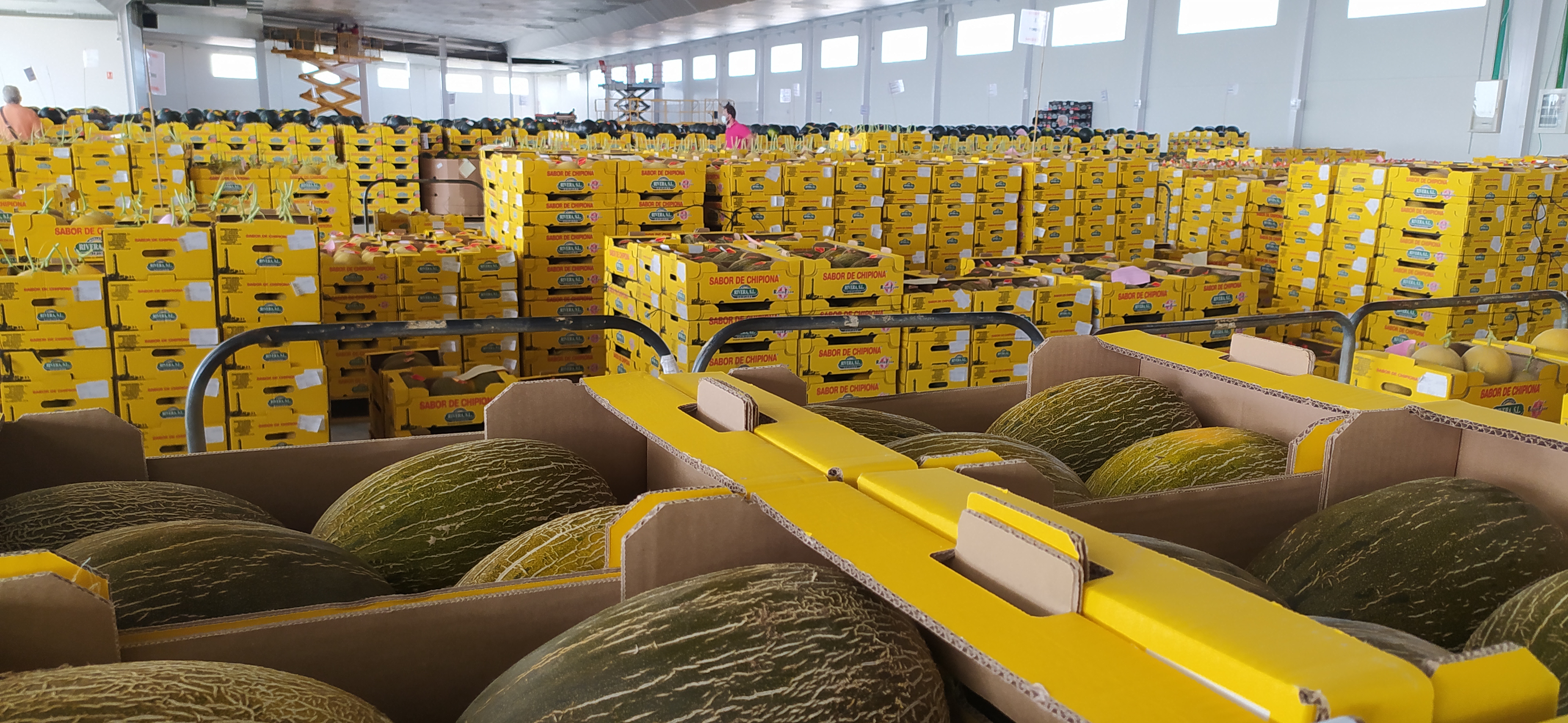 Mercado Rivera Chipiona