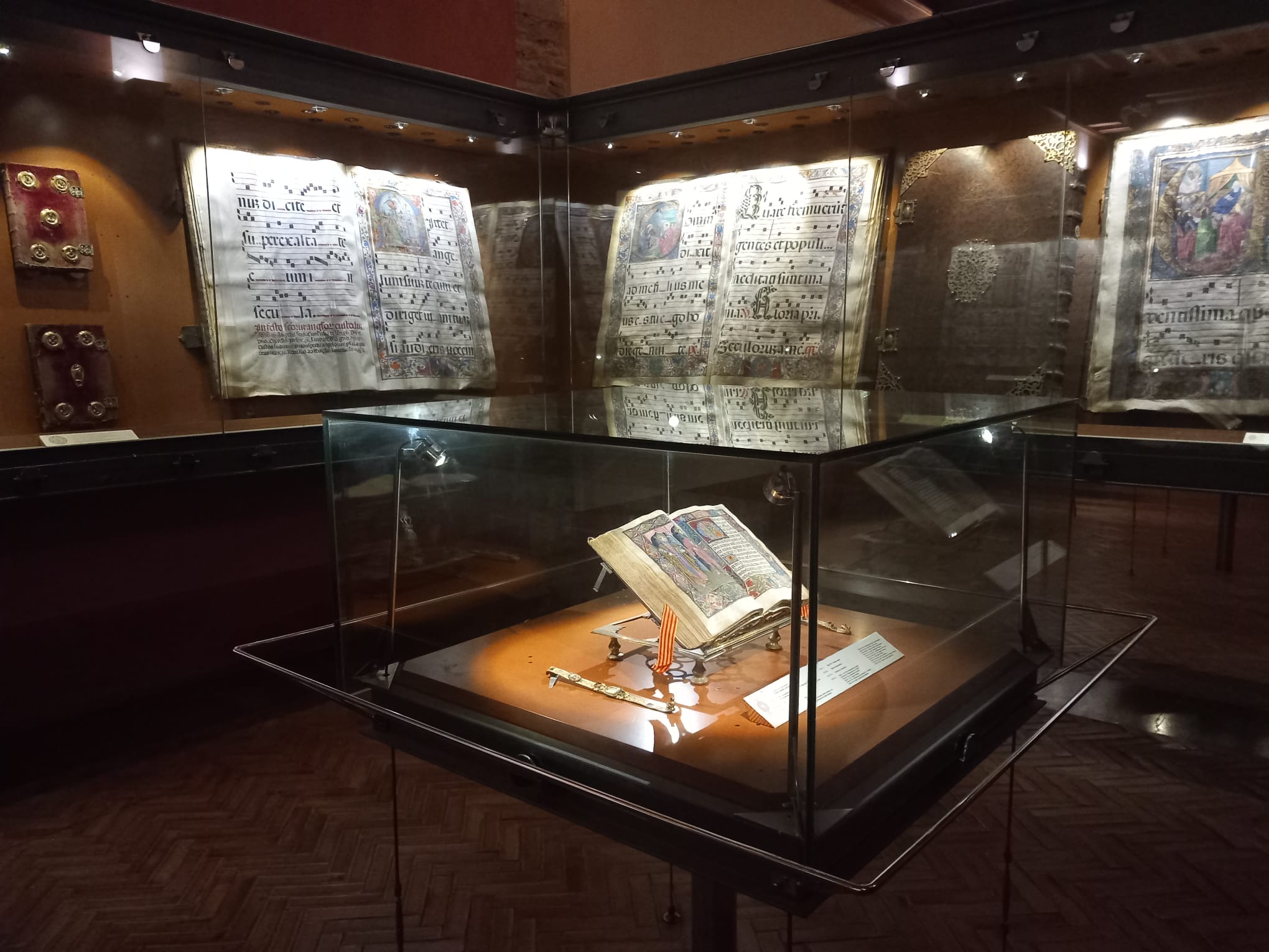 Guadalupe biblioteca