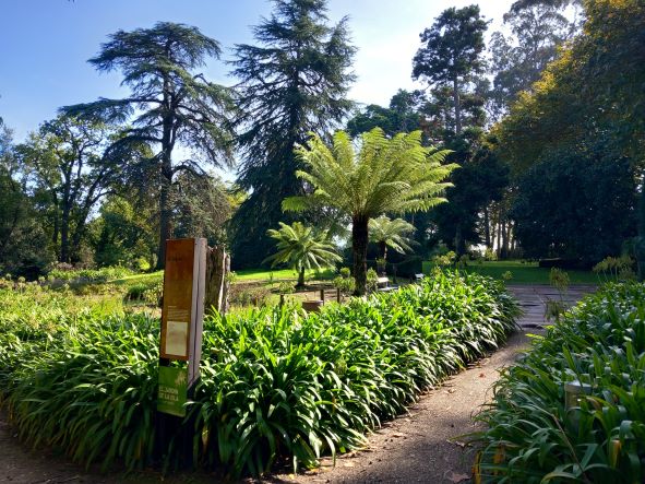 Jardín Botánico Atlántico