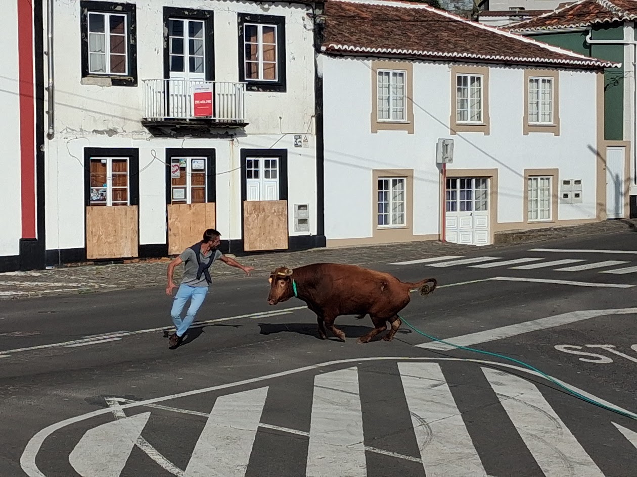 Corrida de toros en Terceira